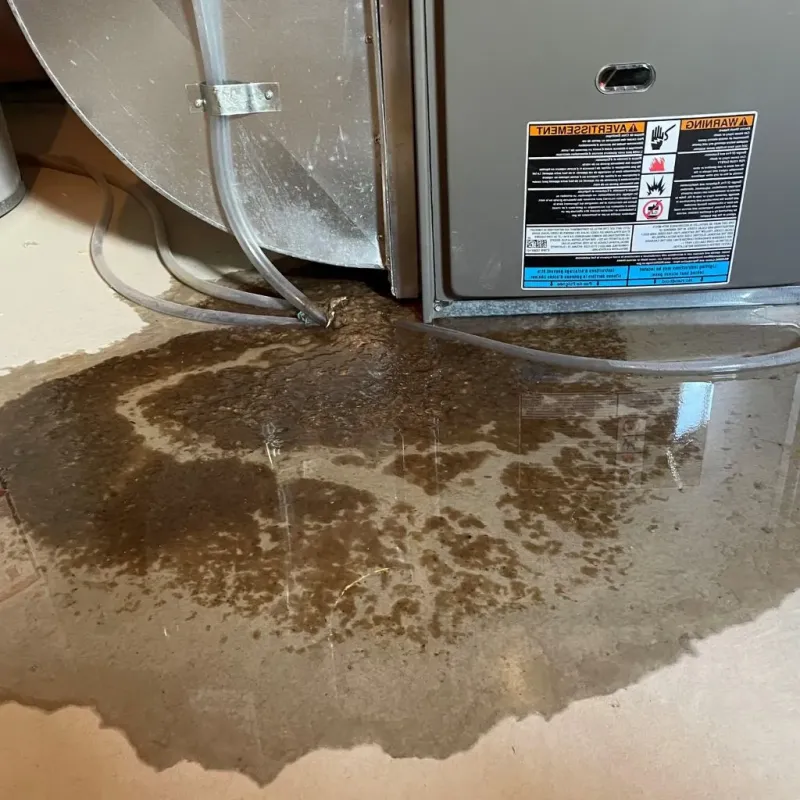Pipe Burst and Leak Restoration in Soddy-Daisy, TN
