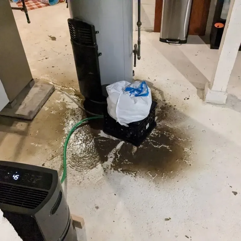 Sewage Backup Cleanup Service in Soddy-Daisy, TN